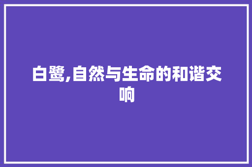 白鹭,自然与生命的和谐交响