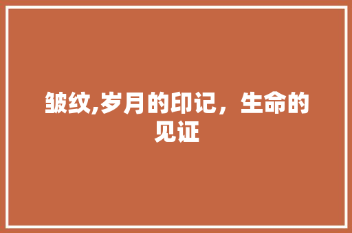 皱纹,岁月的印记，生命的见证