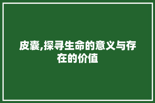 皮囊,探寻生命的意义与存在的价值