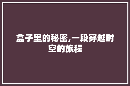 盒子里的秘密,一段穿越时空的旅程