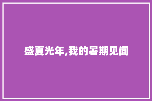 盛夏光年,我的暑期见闻