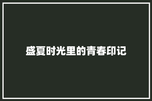 盛夏时光里的青春印记