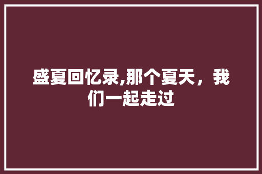 盛夏回忆录,那个夏天，我们一起走过