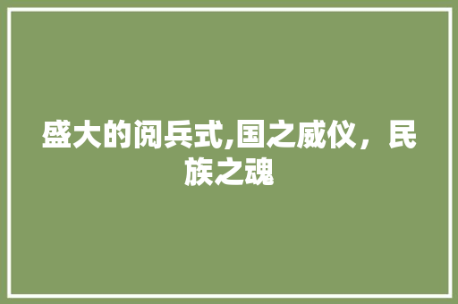 盛大的阅兵式,国之威仪，民族之魂