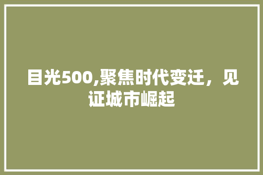 目光500,聚焦时代变迁，见证城市崛起