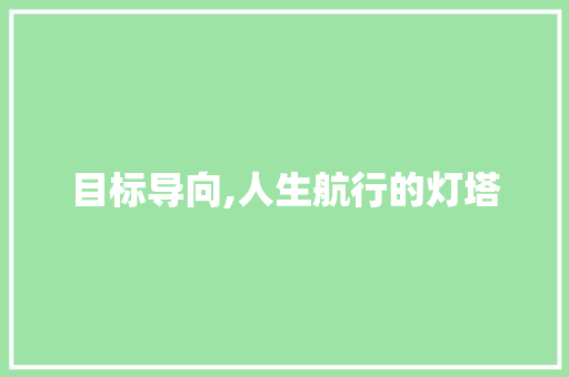 目标导向,人生航行的灯塔