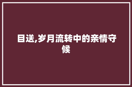 目送,岁月流转中的亲情守候