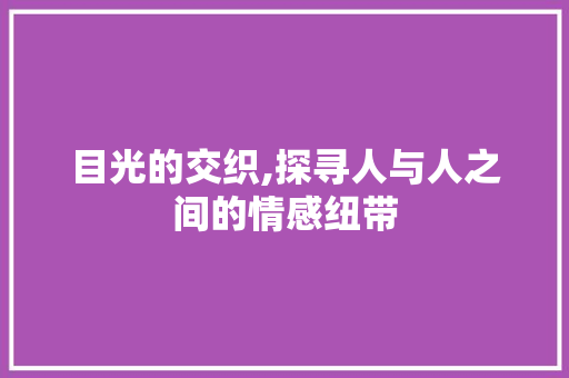 目光的交织,探寻人与人之间的情感纽带