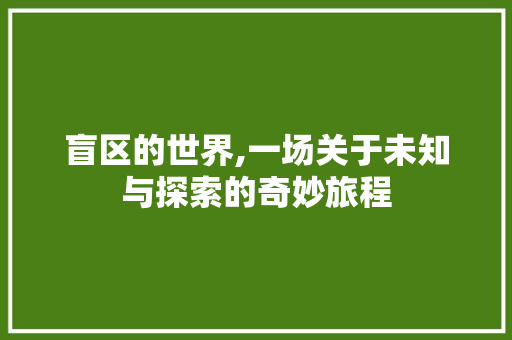 盲区的世界,一场关于未知与探索的奇妙旅程