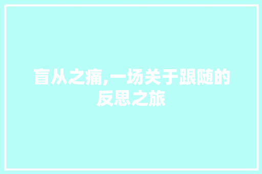 盲从之痛,一场关于跟随的反思之旅