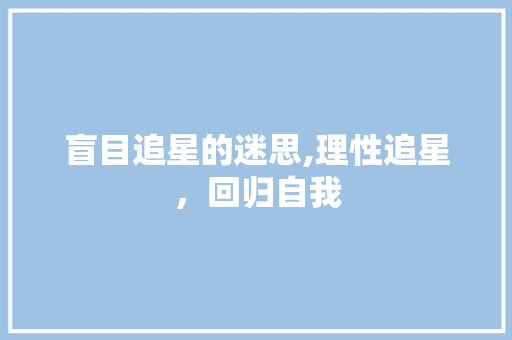 盲目追星的迷思,理性追星，回归自我