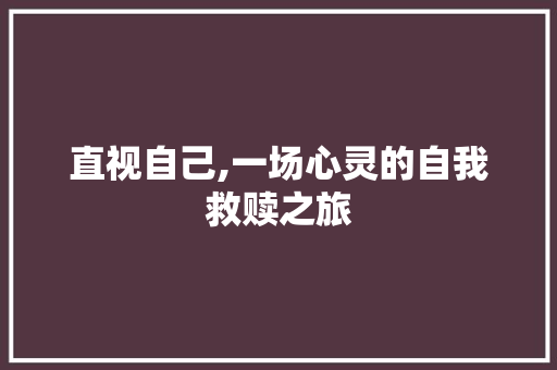 直视自己,一场心灵的自我救赎之旅