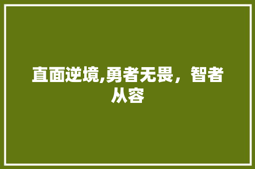 直面逆境,勇者无畏，智者从容