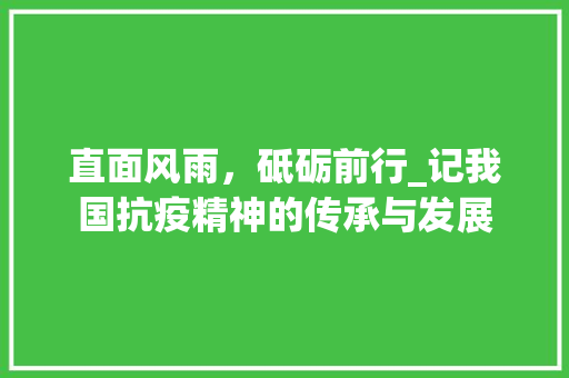 直面风雨，砥砺前行_记我国抗疫精神的传承与发展