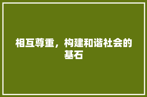 相互尊重，构建和谐社会的基石