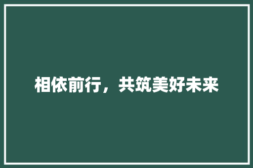 相依前行，共筑美好未来