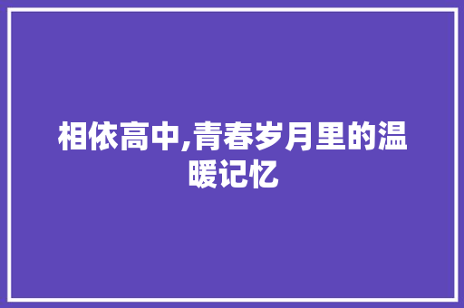 相依高中,青春岁月里的温暖记忆