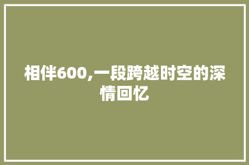 相伴600,一段跨越时空的深情回忆