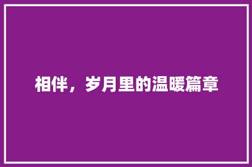 相伴，岁月里的温暖篇章