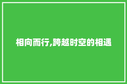 相向而行,跨越时空的相遇