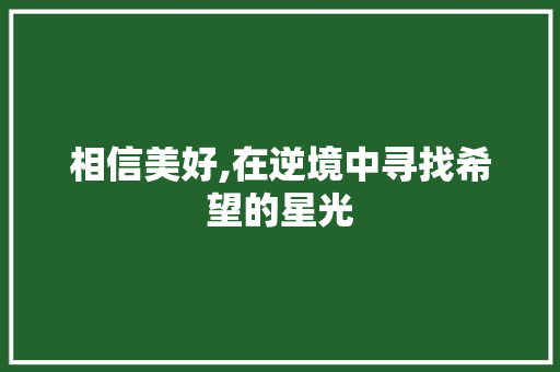 相信美好,在逆境中寻找希望的星光