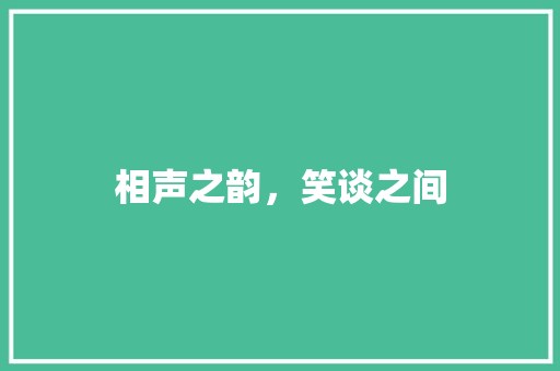 相声之韵，笑谈之间