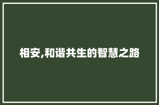 相安,和谐共生的智慧之路