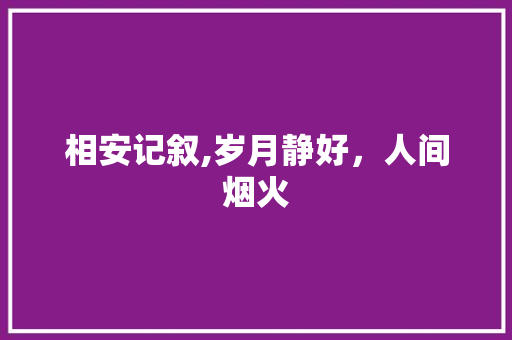 相安记叙,岁月静好，人间烟火