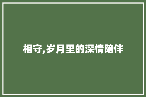 相守,岁月里的深情陪伴