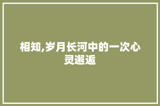 相知,岁月长河中的一次心灵邂逅