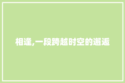 相逢,一段跨越时空的邂逅