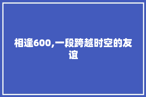 相逢600,一段跨越时空的友谊