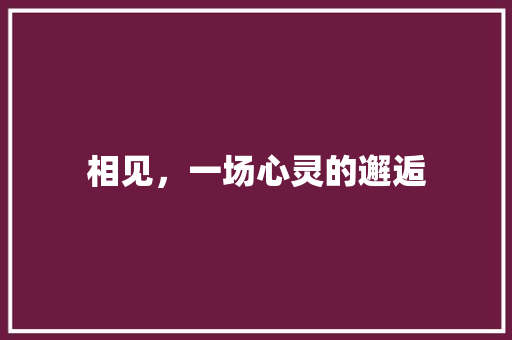 相见，一场心灵的邂逅