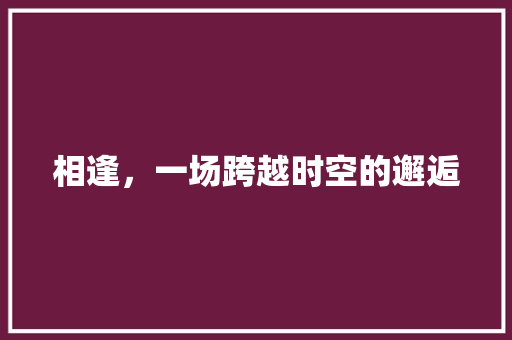 相逢，一场跨越时空的邂逅