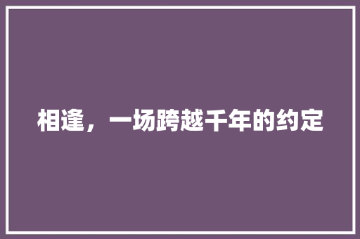 相逢，一场跨越千年的约定