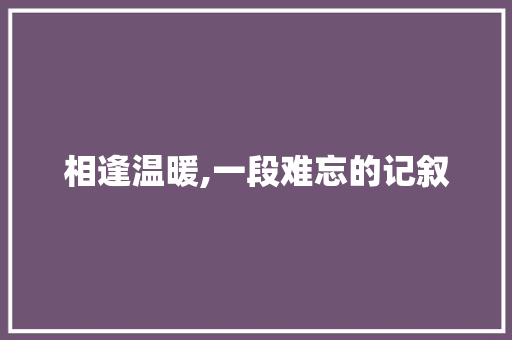 相逢温暖,一段难忘的记叙