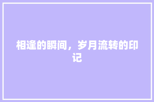 相逢的瞬间，岁月流转的印记 综述范文