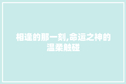 相逢的那一刻,命运之神的温柔触碰 生活范文