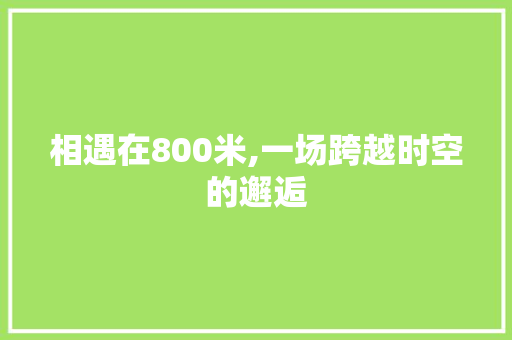 相遇在800米,一场跨越时空的邂逅