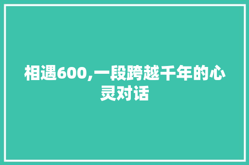 相遇600,一段跨越千年的心灵对话