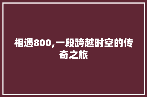 相遇800,一段跨越时空的传奇之旅