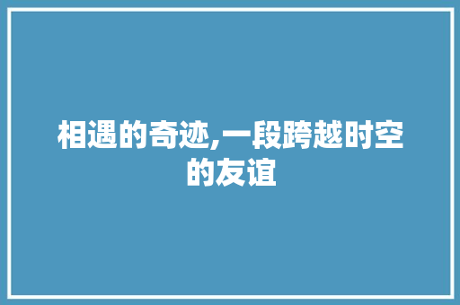 相遇的奇迹,一段跨越时空的友谊