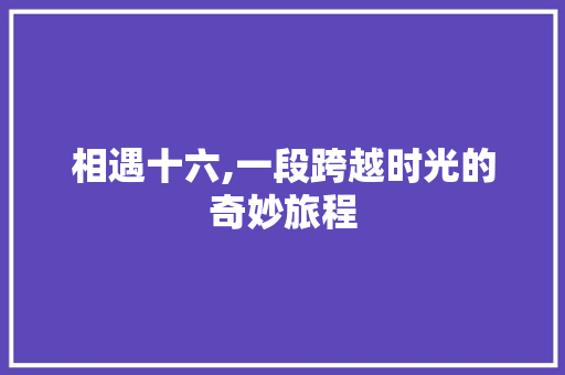 相遇十六,一段跨越时光的奇妙旅程