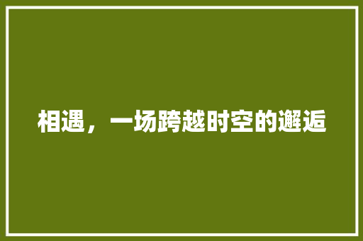 相遇，一场跨越时空的邂逅