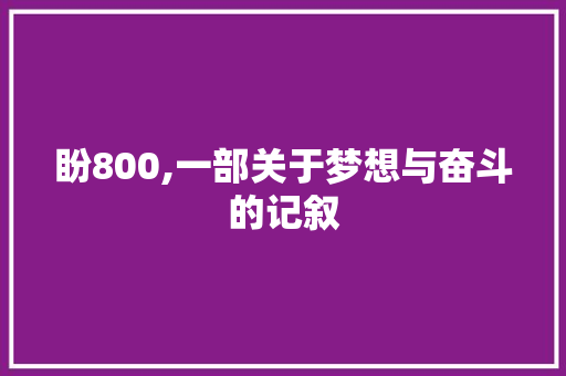 盼800,一部关于梦想与奋斗的记叙