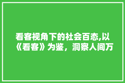 看客视角下的社会百态,以《看客》为鉴，洞察人间万象