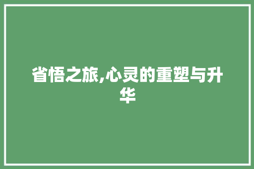 省悟之旅,心灵的重塑与升华