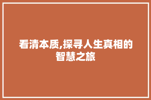 看清本质,探寻人生真相的智慧之旅