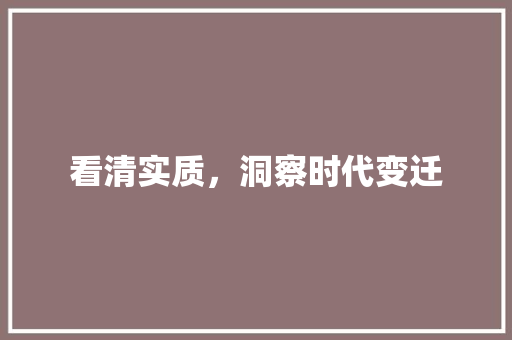 看清实质，洞察时代变迁