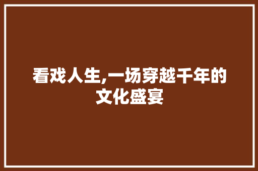 看戏人生,一场穿越千年的文化盛宴